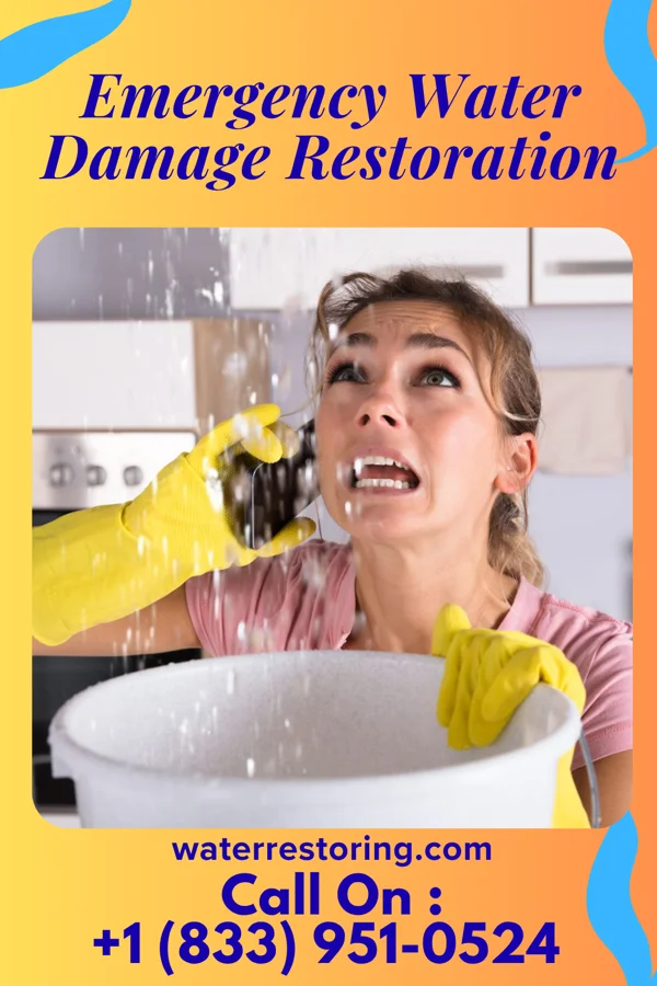 Emergency Water Damage Restoration in Lorton, NE